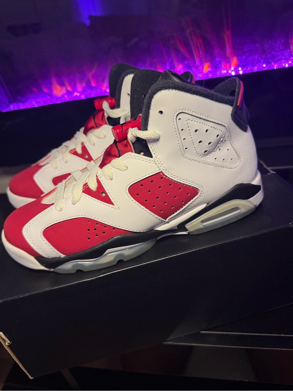 Nike Air Jordan Carmine 6 Retro